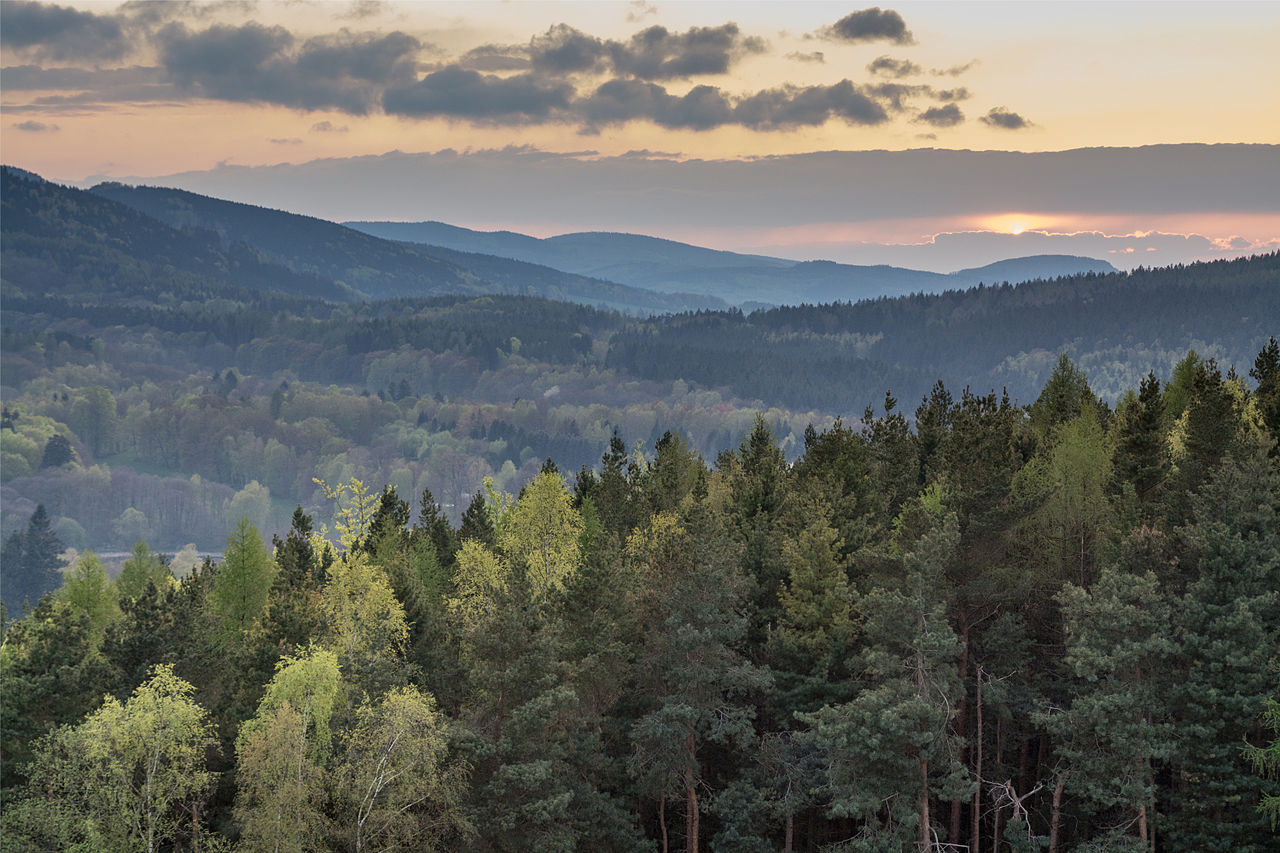 Тюрингенский лес — горный хребет в Средней Германии